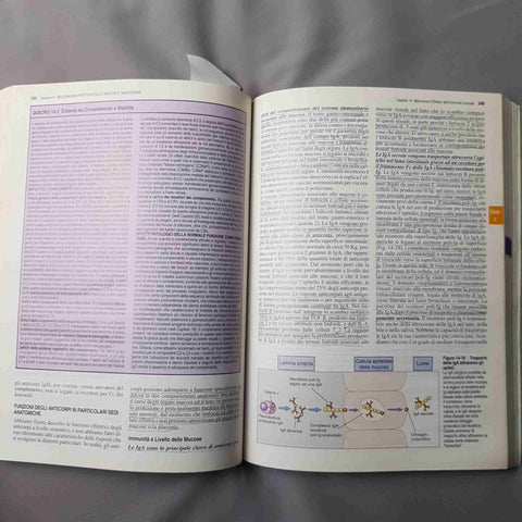 IMMUNOLOGIA CELLULARE E MOLECOLARE - ABBAS LICHTMAN POBER - PICCIN - 260