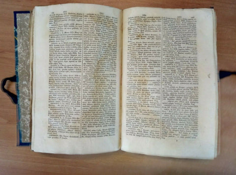 REGIA PARNASSI SEU DICTIONARIUM POETICUM - IGNATII GIOAZZINI 1845 ROMAE (19