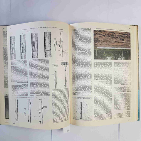 THE PRACTICAL GARDENER'S ENCYCLOPEDIA Professor Alan Gemmell 1986 GIARDINAGGIO