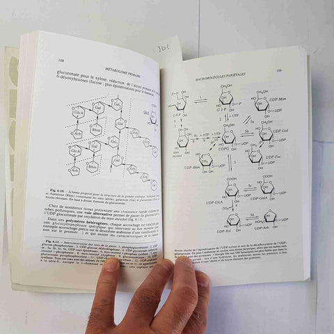 BIOCHIMIE VEGETALE 1996 J.-L. GUIGNARD - MASSON ABREGES biochimica vegetale