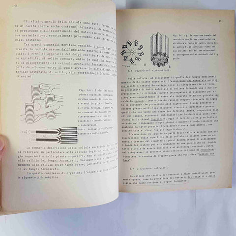 CORSO INTRODUTTIVO ALLA PSICOLOGIA FISIOLOGICA dellantonio omodeo 1978 CORTINA