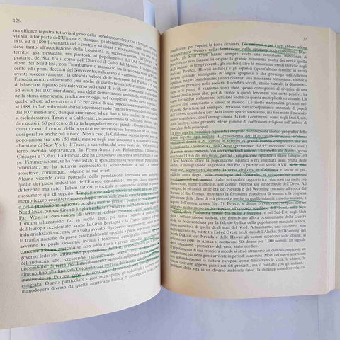 GEOGRAFIA DELL'AMERICA ANGLOSASSONE 1992 UTET Elio Manzi Farnocchia Petri