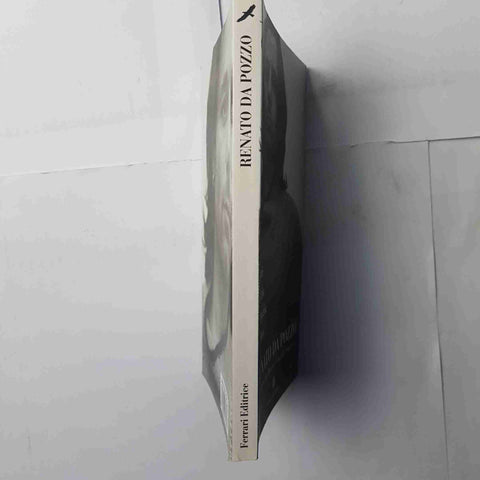 RENATO DA POZZO storie di aria, di spazio, di luce 1997 FERRARI EDITRICE