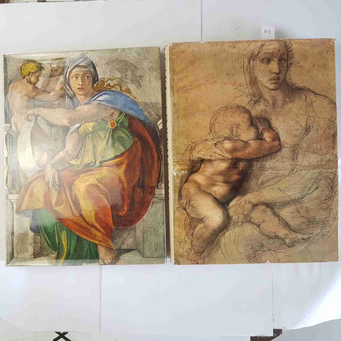 MICHELANGELO ARTISTA PENSATORE SCRITTORE 2 VOLL. senza cofanett DE AGOSTINI 1965