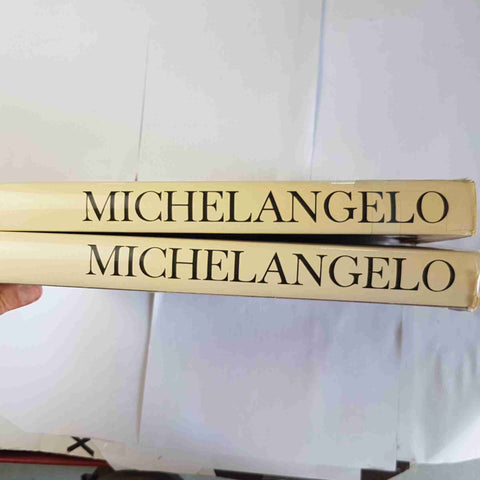 MICHELANGELO ARTISTA PENSATORE SCRITTORE 2 VOLL. senza cofanett DE AGOSTINI 1965