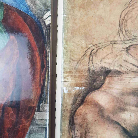 MICHELANGELO ARTISTA PENSATORE SCRITTORE 2 VOLL. senza cofanett DE AGOSTINI 1965