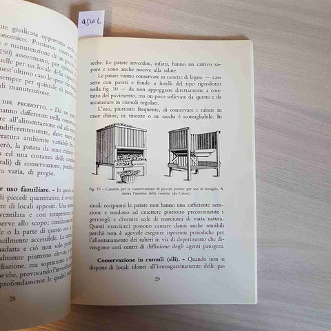 COME SI CONSERVANO LE PATATE - KOVACS - RAMO EDITORIALE DEGLI AGRICOLTORI 1959