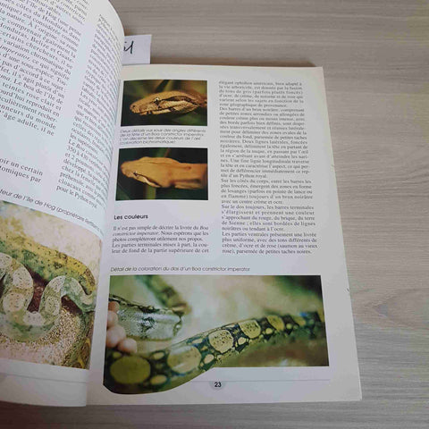 LE PYTHON ROYAL ET LE BOA CONSTRICTOR - MILLEFANTI 2004 DE VECCHI pitone reale