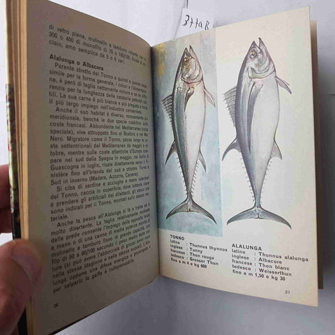PESCA IN  MARE Tony Burnand 1968 MONDADORI piccole guide