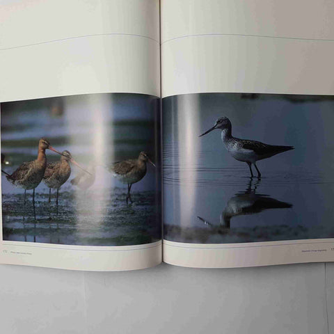 ENRICO RAINERO - MARE NOSTRUM 1987 WWF mare mediterraneo