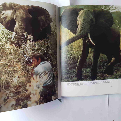 L'ARCA DI NOE' Christian Zuber 1977 EUROCLUB animali habitat giungla savana