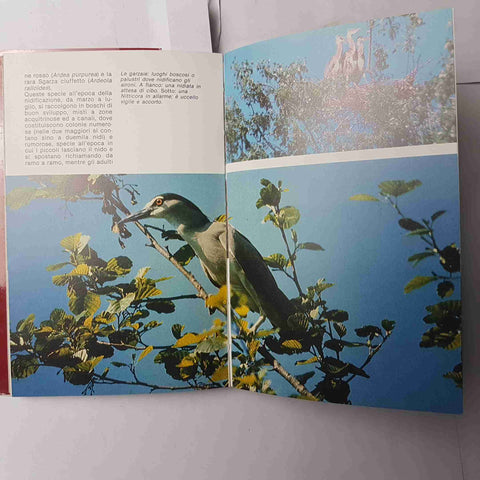 IL PARCO DEL TICINO i tesori della natura FRANCESCO BASSILANA - GIUNTI MARTEL