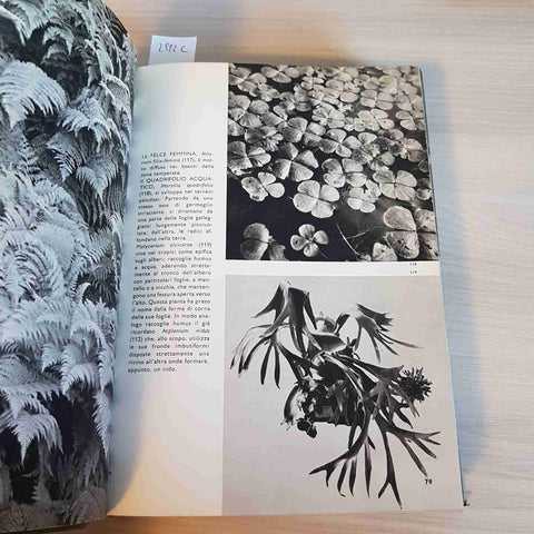 ENCICLOPEDIA ILLUSTRATA DELLE PIANTE - NOVAK - LA PIETRA - 1967