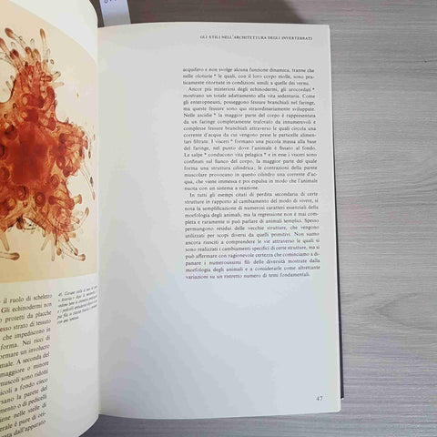 PANORAMA DEGLI INVERTEBRATI - SMITH CLARK CHAPMAN CARTHY 1973 GARZANTI