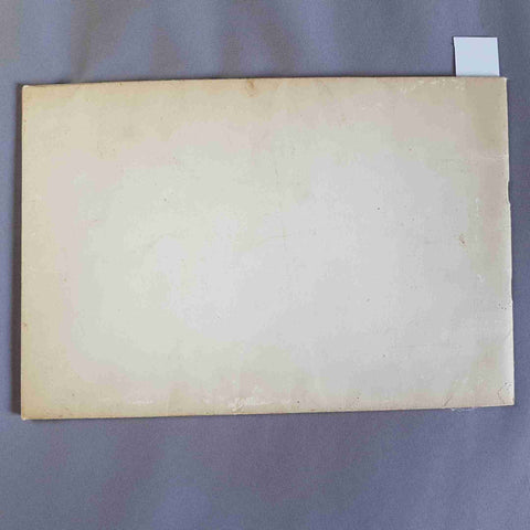 LE TERRACOTTE ROBBIANE DELLA VERNA Droandi Alberto 1956 INCOMPLETO! DELLA ROBBIA