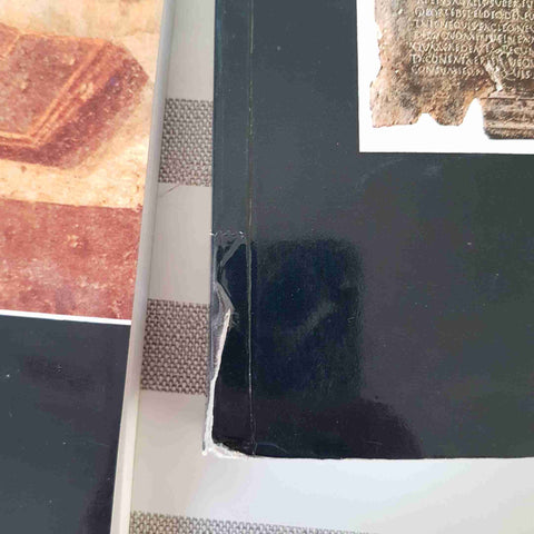 LETTERATURA LATINA: STORIA E TESTI - FRASSINETTI SCIOLLA 2006 MINERVA