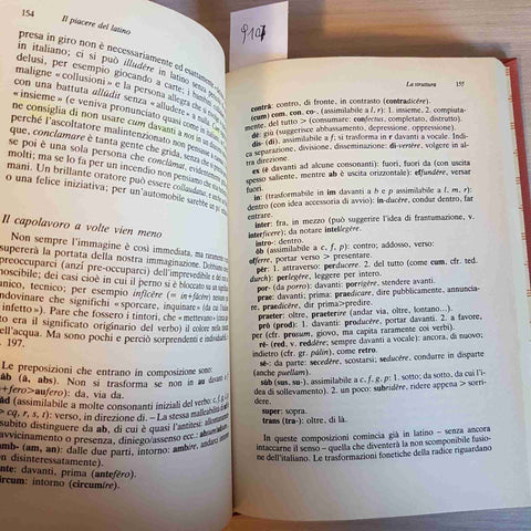 IL PIACERE DEL LATINO ricordarlo impararlo insegnarlo MANDRUZZATO 1992 CDE