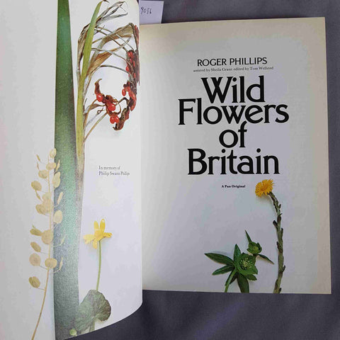 WILD FLOWERS OF BRITAIN Roger Phillips 1978 PAN BOOK