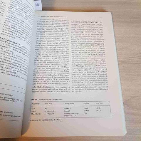 IMMUNOLOGIA GENERALE - DORIA, ADORINI - AMBROSIANA - 1991