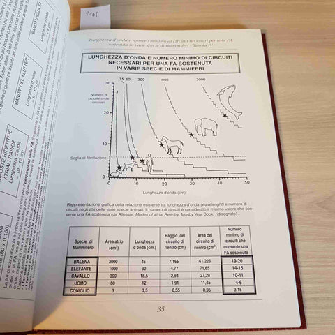 CARDIOLOGIA ON LINE - SANNA - ARIETE SALUTE - 1999