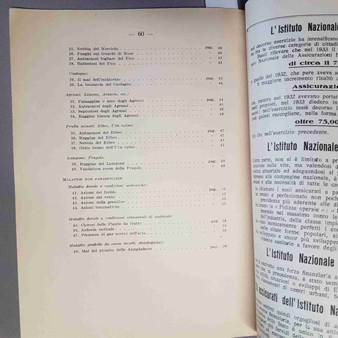 MALATTIE DELLE PIANTE DA FRUTTO 1934 FERRARIS agraria CRITTOGAME agricoltori