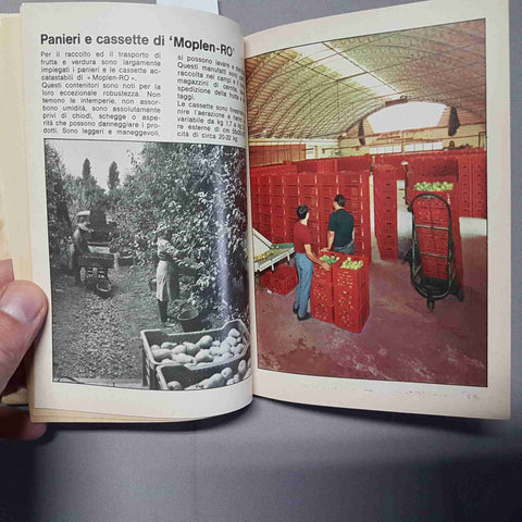 BARBA NERA DI FOLIGNO per l'anno bisestile 1968 CAMPI EDITORE pubblicità epoca