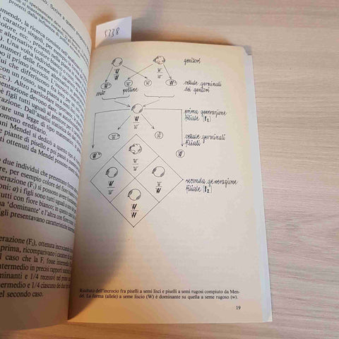 LE FRONTIERE DELLA GENETICA - BUIATTI MARCELLO - EDITORI RIUNITI - 1984