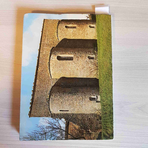 L'ABBAZIA DI FARNETA IN VAL DI CHIANA 1978 SANTE FELICI