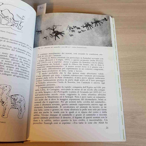 IL CAMMELLO - SCARAMELLA, CIANCI - EDIZIONI AGRICOLE - 1989