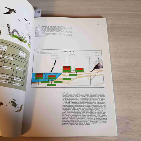 ARGOMENTI DI ECOLOGIA ECONSULT 1985 PAVIA ecologia biosfera, humus, piogge acide