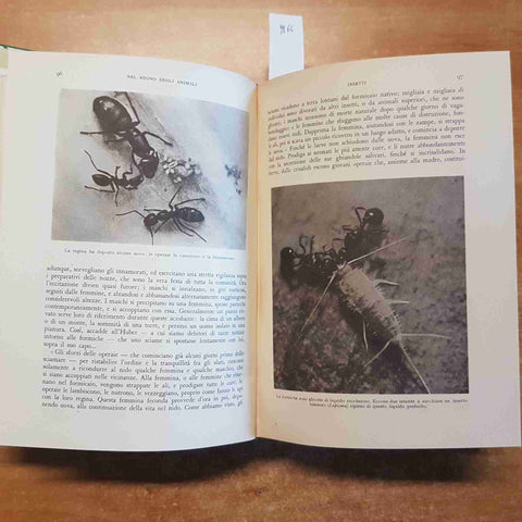 NEL REGNO DEGLI ANIMALI 2 voll. illustrati + cofanetto A.E. BREHM - MONDADORI