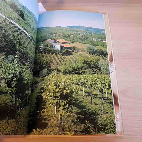 I VINI ROSSI - I GRANDI LIBRI DEL VINO - GRIBAUDO - 2005