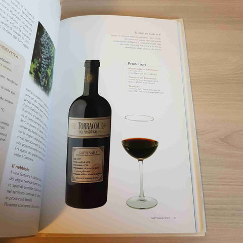 I VINI ROSSI DA INVECCHIAMENTO - I GRANDI LIBRI DEL VINO - GRIBAUDO - 2005