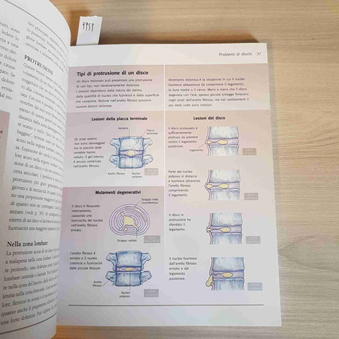 MAL DI SCHIENA prevenire curare MEDICINA TRADIZIONALE ALTERNATIVA fabbri TANNER