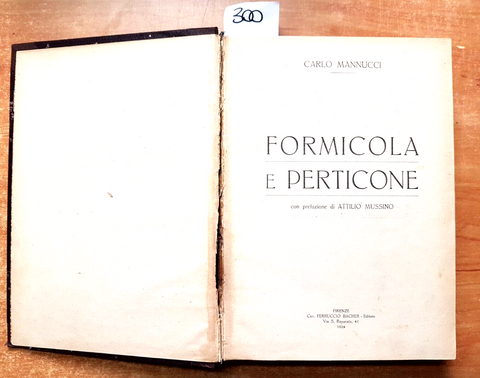 Carlo Mannucci - FORMICOLA E PERTICONE - 1ed. Bacher 1924 illust. Mussino