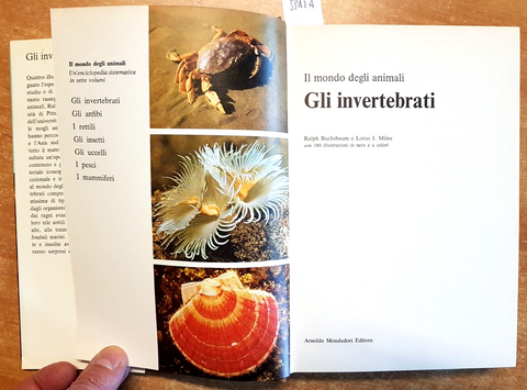 IL MONDO DEGLI ANIMALI Gli Invertebrati 1971 Mondadori 180 ILLUSTRAZIONI (5