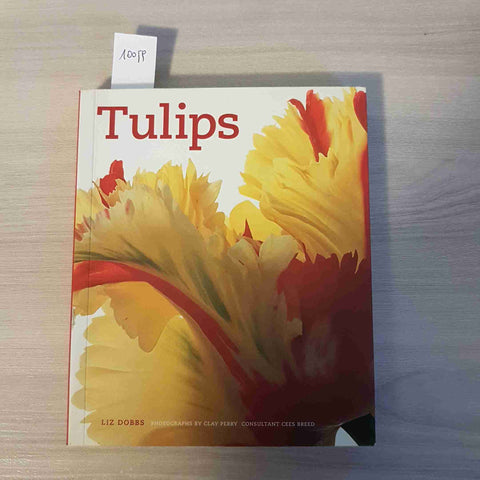 TULIPS - LIZ DOBBS - QUADRILLE - 2007 tulipani