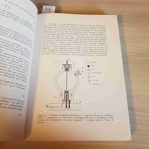 RADIOBIOLOGIA DEI TUMORI - BIAGINI, DI PAOLA - EMSI - 1978