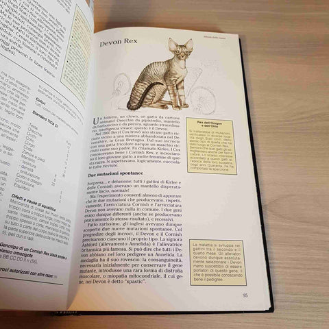 IL GRANDE LIBRO ILLUSTRATO DEI GATTI - SELEZIONE DAL READER'S DIGEST - 1995