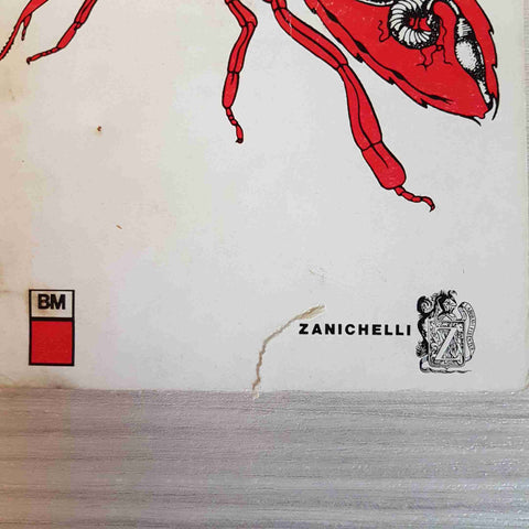 STRUTTURA E FUNZIONI DEGLI ANIMALI - DONALD GRIFFIN - ZANICHELLI zoologia 1968