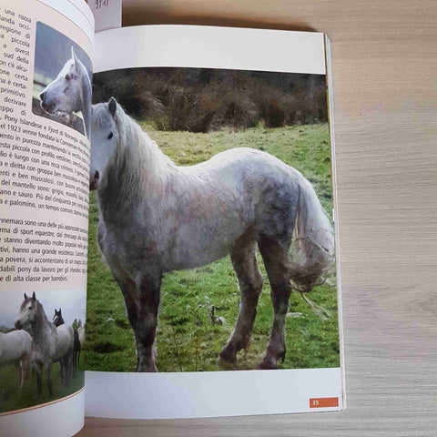 MANUALE DEL CAVALLO razze cura addestramento equitazione ippica MK LIBRI 2019