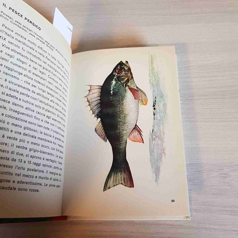 PESCA IN ACQUA DOLCE - TONY BURNAND - MONDADORI - 1963 ittica pesci