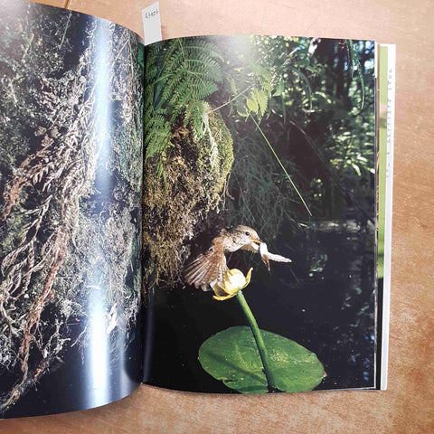 COGLIERE L'ATTIMO fotografia natura BRUNO VALENTI 2002 LAMA zoologia pavia