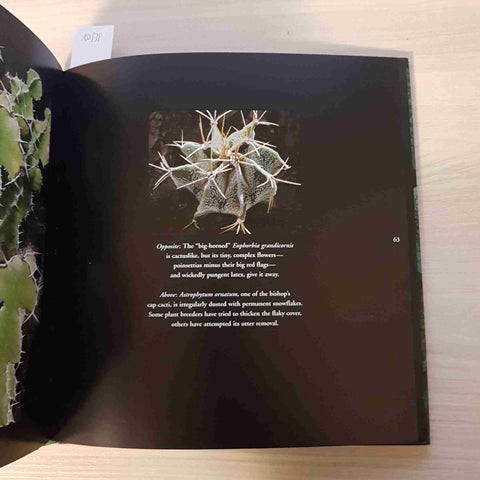 SUCCULENTS - NATURE'S SCULPTURAL WONDERS - BELA KALMAN - RIZZOLI - 2001