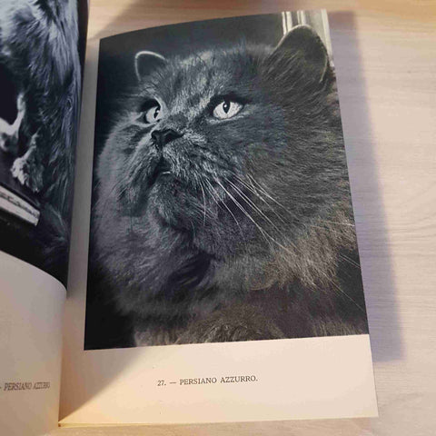 IL GATTO NELLA NATURA NELLA STORIA E NELL'ARTE - DE AGOSTINI - 1951