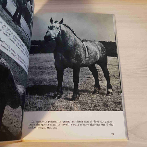 IL CAVALLO NELLA NATURA NELLA STORIA E NELL'ARTE - DE AGOSTINI - 1952