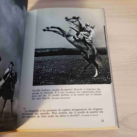 IL CAVALLO NELLA NATURA NELLA STORIA E NELL'ARTE - DE AGOSTINI - 1952