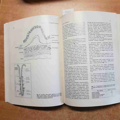 MANUALE DI FISIOPATOLOGIA CHIRURGICA Gallone Bezzi Galliera Peri 1986 MASSON