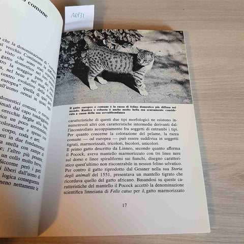 IL GATTO EUROPEO E IL GATTO COMUNE - VITTRIO MENASSE' - DE VECCHI - 1992