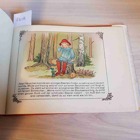 HANSCHEN IM BLAUBEERENWALD - Karsten Brandt - LOEWES VERLAG